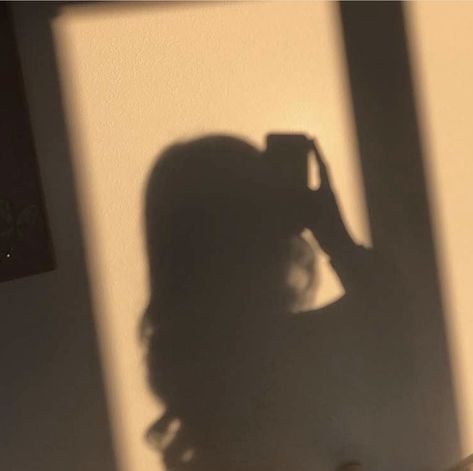 beige, shadow, wall, pretty, aesthetic, selflove Light Brown Academia Aesthetic, Shadow Asthetic Picture, Light Academia Aesthetic Pfp, Asthetic Shadow Pics, Aesthetic Pfp Shadow, Shadow On Wall Aesthetic, Wall Shadow Aesthetic, Light Academia Posters, Light Academia Pfp