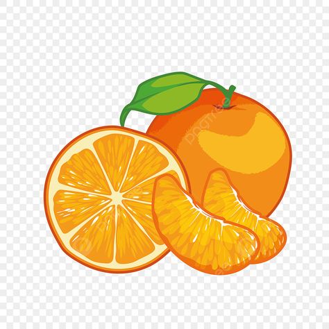 Cartoon Orange, Fruit Clipart, Fruit Cartoon, Fruits Drawing, Fruits Images, Cartoon Png, Illustration Creative, Orange Decor, Orange Logo