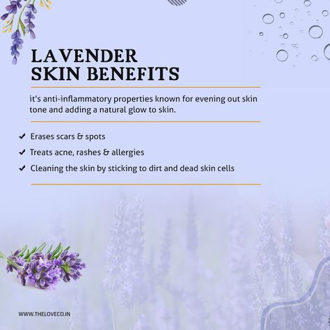 Lavender Skin, Lavender Lotion, Lavender Benefits, Skin Benefits, Skincare Tips, How To Treat Acne, Natural Glow, Dead Skin, Things To Know