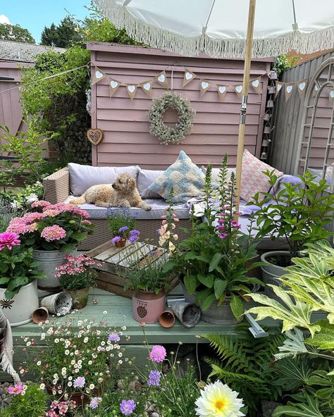 Happy Saturday! This dog has the right idea...(📷@acorn_cottage_) Acorn Cottage, House Beautiful, Happy Saturday, House Decor, Garden Ideas, Beautiful Homes, Outdoor Gardens, Home And Garden, Cottage