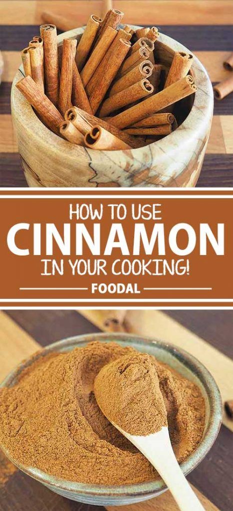 The Best Ways to Use Cinnamon for Sweet or Savory Dishes https://foodal.com/knowledge/herbs-spices/sweet-savory-cinnamon/ Savory Cinnamon Recipes, Cooking Knowledge, Easy Homemade Granola, Diy Pumpkin Spice, Benefits Of Organic Food, Baking Basics, Baking Science, Herbs Spices, Cinnamon Recipes