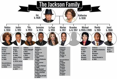 Janet Jackson Son, Michael Jackson Family, Family Tree Photo, The Jackson Family, Muhammed Ali, Michael Jackson Art, Michael Jackson Pics, Paris Jackson, Jackson's Art