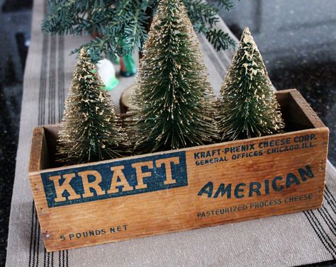 I'm so doing this, I have that vintage wooden cheese box...Love this. Antique Cheese Box Ideas, Vintage Cheese Box Ideas, Cheese Boxes, Bottlebrush Trees, Vintage Crates, Christmas Rustic, Tree Box, Cheese Box, Christmas Decorating Ideas