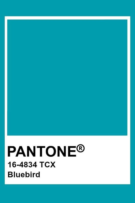 Pantone Turquoise, Interior Design Material Board, Pantone Azul, Pantone Tcx, Pantone Trends, Pantone Color Chart, Pantone Swatches, Pantone Colours, Pantone Palette