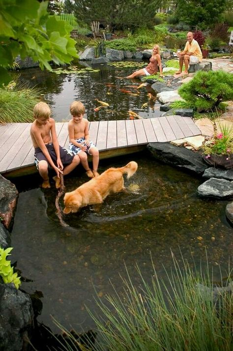 <3 Kolam Koi, Taman Air, Building A Pond, Natural Swimming Ponds, Garden Pond Design, Backyard Pond, Pond Water Features, Swimming Pond, Pond Landscaping