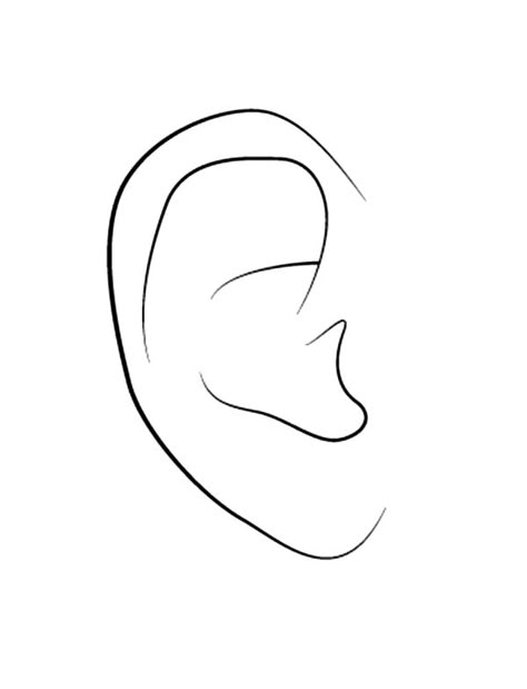 Ear Coloring Page, Ear Illustration Art, Ear Illustration Design, Ear Watercolor, Ear Line Drawing, Ear Drawings, Ear Painting, Ear Illustration, Drawing Ears