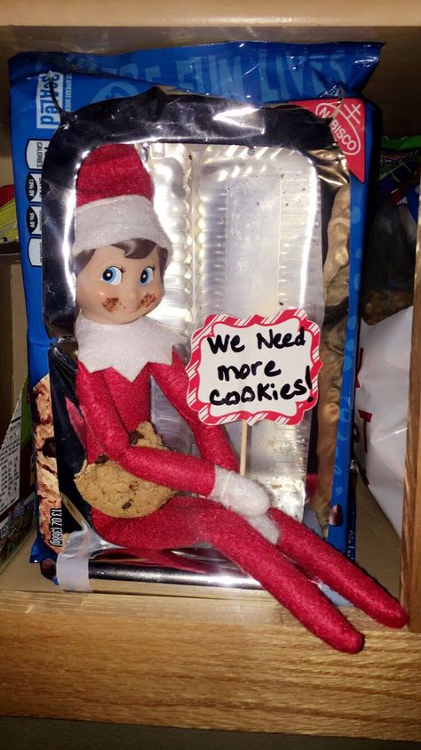 Elf On The Shelf Cookies Ideas, Cookies Elf On The Shelf, Elf On The Shelf Come Back Ideas, Elf On Shelf Cookie Ideas, Elves Come Back Ideas, Elf Cookies On The Shelf, Buddy The Elf Food Ideas, Elf On The Shelf Were Back, Welcoming Elf On The Shelf Back