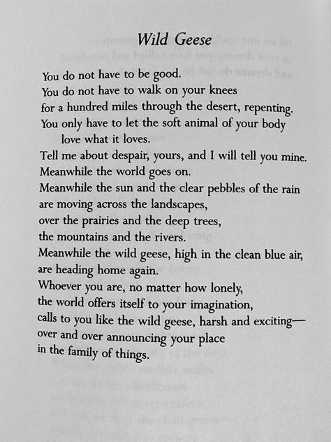 Wild Geese poem Wild Geese
You do not have to be good Mary Oliver Poems Wild Geese, Poetry Mary Oliver, Mary Oliver Books, Poem Mary Oliver, Mary Oliver Tattoo, Wild Geese Poem, Mary Core, Wild Geese Mary Oliver, Geese Art