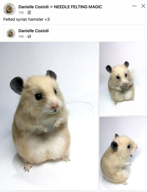 Wool Felting Animals, Syrian Hamster, Wool Felting, Super Cat, Needle Felt, Needle Felted Animals, Hamsters, Felt Dolls, Rodents