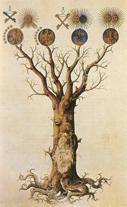 Alchemy Art, Esoteric Art, Occult Art, Medieval Art, Illuminated Manuscript, Sacred Geometry, Alchemy, 그림 그리기, A Tree