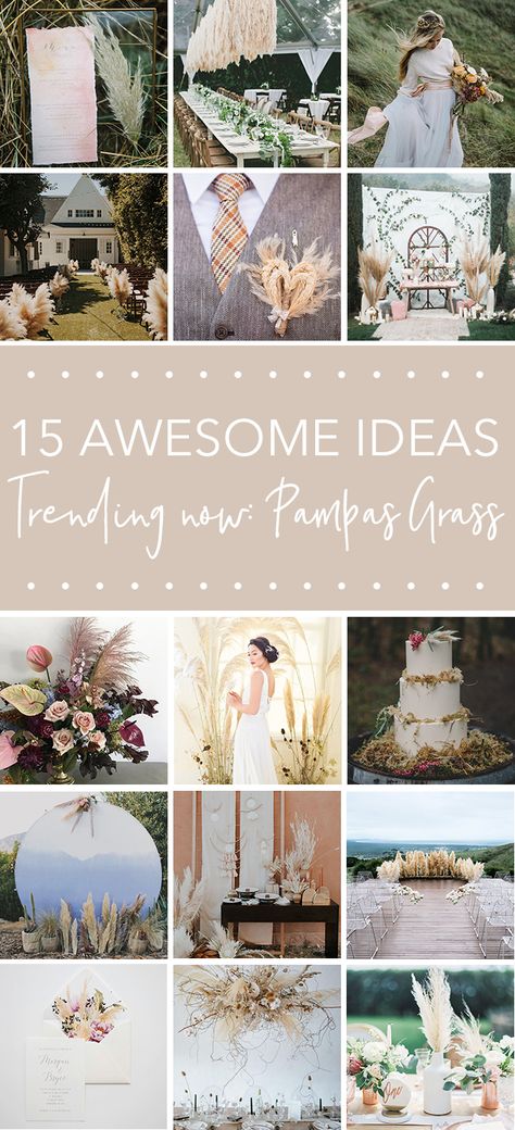 Pampas Grass Wedding Aisle, Pampas Grass Decor Wedding, Pampas Grass Wedding Decor, Grass Centerpiece, Pampas Grass Wedding, Rehearsal Dinner Decorations, Bouquet Tutorial, Pampas Grass Decor, Grass Wedding