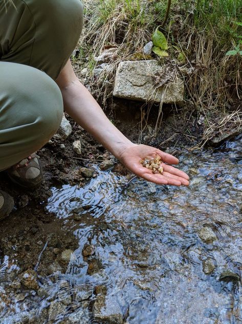 Rock Hunting Aesthetic, Collecting Rocks Aesthetic, Rock Collecting Aesthetic, Geoscience Aesthetic, Michaelcore Aesthetic, Field Ecologist, Geologist Aesthetic, Paleontology Aesthetic, Gem Aesthetic