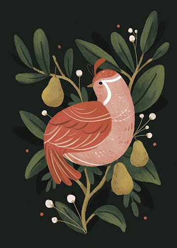 "Partridge in a pear tree" digital illustration Lindsay Dale-Scott 2015 Arte Doodle, Partridge In A Pear Tree, Pear Tree, Twelve Days Of Christmas, Bird Tree, Tree Illustration, Partridge, Bird Illustration, Christmas Illustration