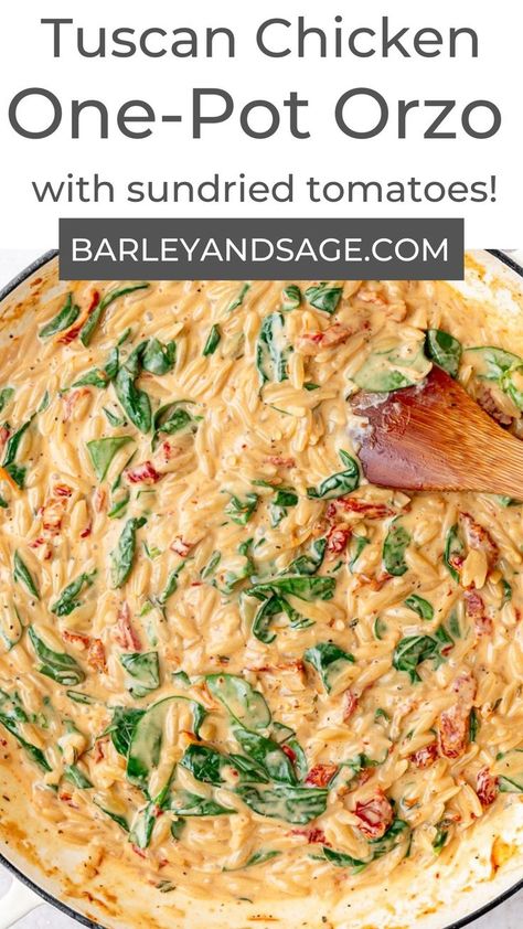 Tuscan Chicken Orzo, Creamy Tuscan Chicken, Orzo Recipes, Chicken Orzo, Avocado Dip, Sundried Tomatoes, Salad Pasta, Tuscan Chicken, Health Dinner Recipes