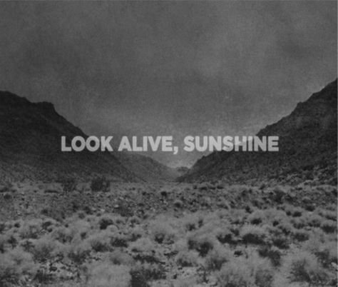 Look Alive Sunshine, Backgrounds Black, Black Parade, Team Fortress 2, White Photos, True Life, My Chemical, Fall Out Boy, Borderlands