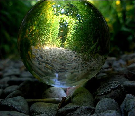 MAGIC Magical Creatures, Glass Ball, Crystal Ball, Beautiful World, Secret Garden, Enchanted, Muse, Fairy Tales, Universe