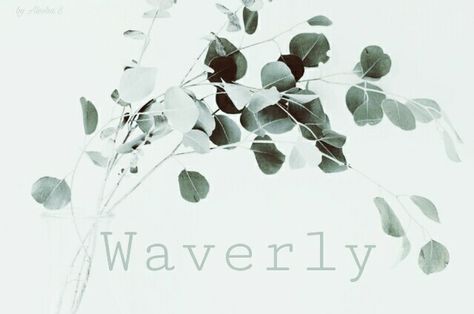 Waverly / English: meadow of quivering aspens Female Character Names, Name Inspiration, Character Names, Baby Girl Names, Girl Names, Baby Girls Nursery, Girl Nursery, Baby Fever, First Names