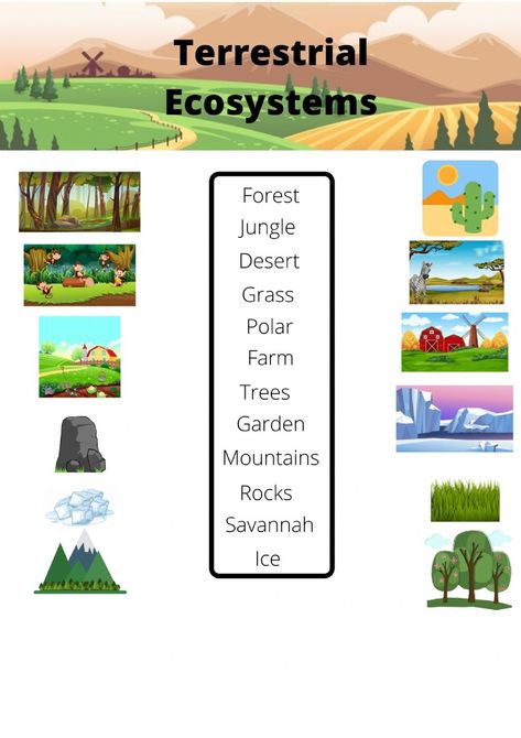 Terrestrial Ecosystem Vocabulary interactive worksheet Ecosystem Vocabulary, Ecosystem Worksheets, Manmade Structures, Terrestrial Ecosystems, Ecosystem Activities, Ecosystems Projects, English Projects, Aquatic Ecosystem, Nature Hikes