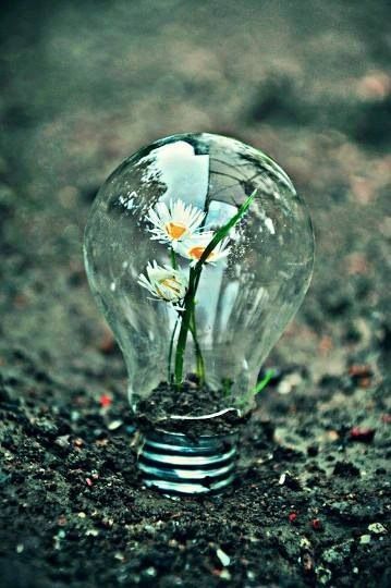 .: Light Bulb Art, Photography Jobs, Charcoal Drawings, 수채화 그림, Conceptual Photography, Online Photography, Foto Art, Abstract Photography, Artistic Photography