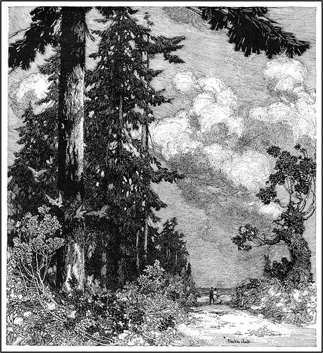 Franklin Booth "The Pine" (modified) | Franklin Booth (1874-… | Flickr Franklin Booth, Ink Master, Landscape Drawings, Wood Engraving, Landscape Illustration, Ink Illustrations, Pen Art, Ink Pen Drawings, Ink Art