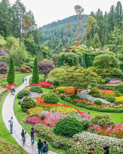 33 Absolute BEST Things to do in Victoria, BC (2024 Guide!) Vancouver Things To Do, Craigdarroch Castle, Vancouver Vacation, Hatley Castle, Things To Do In Vancouver, Vancouver Aquarium, Seattle Trip, Vancouver Travel, Victoria Bc Canada