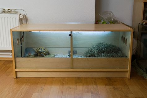 turtle terrarium Tortoise Terrarium, Turtle Cage, Turtle Terrarium, Tortoise Table, Turtle Homes, Tortoise Enclosure, Russian Tortoise, Tortoise Care, Tortoise Habitat