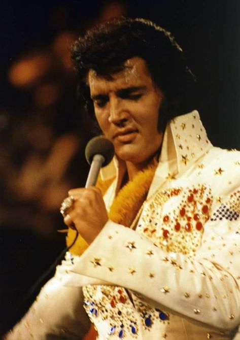 Elvis Presley Hawaii, Elvis Aloha From Hawaii, Elvis Presley Wallpaper, Elvis Presley Concerts, Aloha From Hawaii, Elvis Jumpsuits, King Elvis Presley, Elvis In Concert, Elvis Presley Images