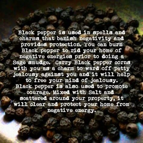 Black pepper magical properties Black Pepper Magical Properties, Wild Witch, Magickal Herbs, Witch Herbs, Magic Herbs, Under Your Spell, Eclectic Witch, Wiccan Spell Book, Magical Herbs