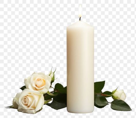 Png Images For Editing, Candle Flower, Flower Candle, Fun Diy Crafts, Flower Plant, White Candles, Fun Diy, Free Png, Fun Diys