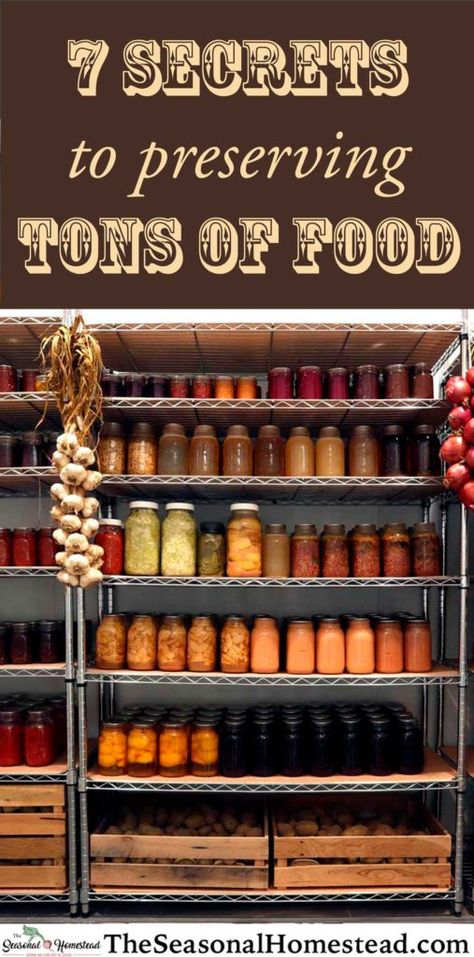 7 Secrets to Preserving Tons of Food - The Seasonal Homestead Homesteading Food Storage, Food Preservation Recipes, Homestead Meals, Purposeful Pantry, Seasonal Homestead, Couples Jar, Homestead Pantry, Organized Things, Diy Food Storage