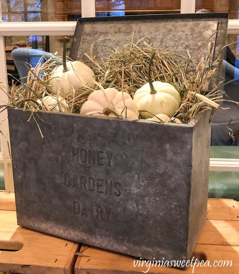 Pumpkin Patch Display, Natural Decorating, Fall Displays, Primitive Autumn, Woodstock Vermont, Vintage Fall Decor, Antique Booth, Logan Utah, Milk Box