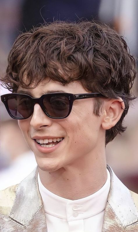 Timothee Chalamet Short Hair, Timothee Chalamet Haircut, Mod Hairstyle Men, Black Hair With Brown Highlights, Mod Cut, Undercut Curly Hair, David Hair, Top Haircuts For Men, Mens Hairstyles Curly