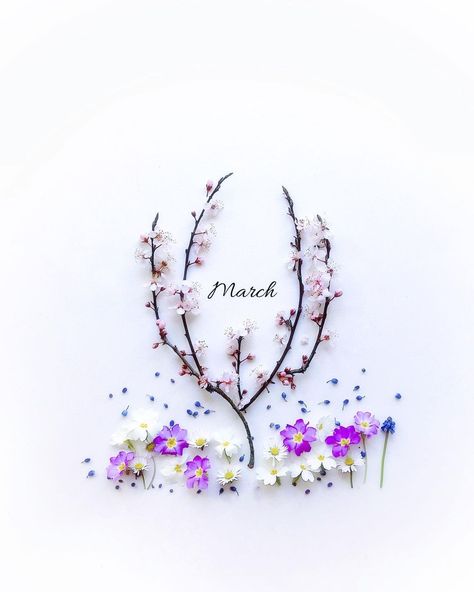 7.304 Me gusta, 350 comentarios - Béa (@bea7507) en Instagram: "Welcome March 🌸🌱🌼#hellomarch#thisweekoninstagram Wish you a wonderful month 🌸 . . . . . . .…" Welcome March, Welcome Pictures, Instagram Design Creative, Happy March, Hello March, Instagram Design, Hello Spring, Cover Pics, Twinkle Lights