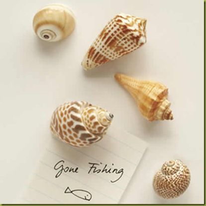 Seashell magnets. Cute and easy to make. Beach love! Seashell Magnets Diy, Make Your Own Magnets, Seashell Magnets, Shell Magnets, Beachy Crafts, Seashell Display, Diy Magnets, I Need Vitamin Sea, Magnetic Boards