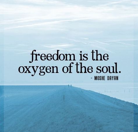 Short Freedom Quotes Freedom Love Quotes, Freedom Quotes Life, Freedom Images, Freedom Pictures, Financial Freedom Quotes, Independent Quotes, Perspective Quotes, Freedom Quotes, Freedom Love