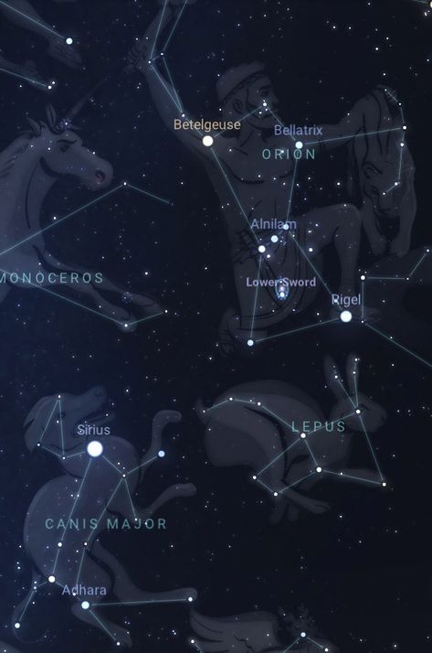 Sirius | The Brightest Star in the Sky | Pictures, Facts, and Location Sirian Starseed, Star Meaning, Dont Look Back Quotes, Brightest Star In The Sky, The Dog Star, Sirius Star, Orion Constellation, Astronomy Facts, Systems Art