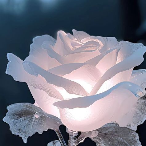 Ice White Aesthetic, Roses In Snow, White Roses Aesthetic, Snowy Flowers, Flowers In The Snow, Ice Aesthetic, Ice Rose, Snow Rose, Ice Flower