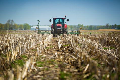 Carbon Markets Stand to Reward 'No-Till’ Farmers. But Most Are Still Tilling the Soil. | Civil Eats No Till Farming, Market Stands, Human Geography, Corn Plant, Natural Structures, Crop Rotation, Soil Health, Environmental Issues, Urban Farming