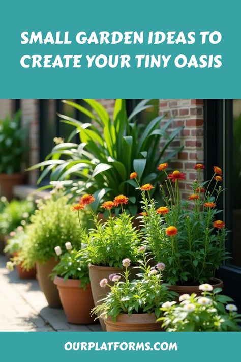 Potted plants line a sunlit patio, showcasing small garden design ideas. Tiny Outdoor Space, Small Garden Ideas, Lawn Alternatives, Grow Herbs, Tiny Garden, Vertical Gardening, Garden Solutions, Cozy Seating, Tiny Space