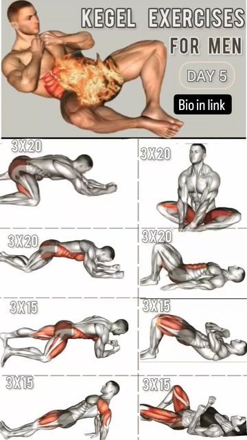 Bodyweight Back Workout, Kegel Exercise For Men, Exercises For Men, Gym Workout Guide, Latihan Dada, Bodybuilding Workouts Routines, Best Gym Workout, Gym Workout Planner, Men Exercises