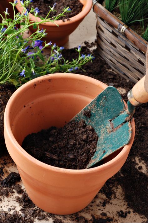 How To Create The Best Potting Soil For Potted Plants & Hanging Baskets! April Gardening, Gemüseanbau In Kübeln, Herb Garden Pallet, Fall Container Gardens, Garden Container, Video Garden, Container Gardening Flowers, Pallets Garden, Container Gardening Vegetables