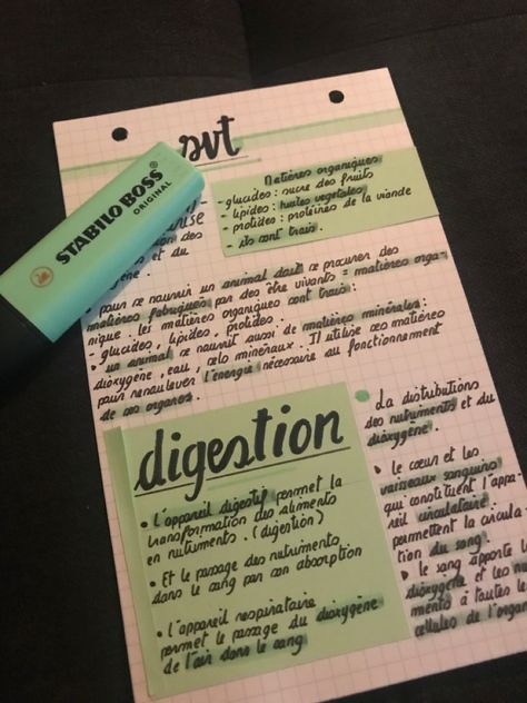 Fiche de revision dans les ton vert sur un cour de svt Revision Motivation, Vet School Motivation, Study Mode, French Songs, School Organization Notes, Study Organization, Notebook Organization, Lesson Planner, School Study Tips