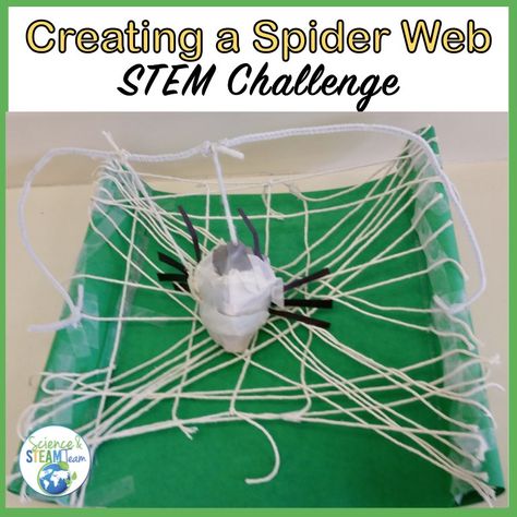 October Science, Spider Lessons, Halloween Theme Preschool, Halloween Stem Activities, Spooky Science, Spider Activities, Steam Classroom, Halloween Activities Preschool, Steam Lab