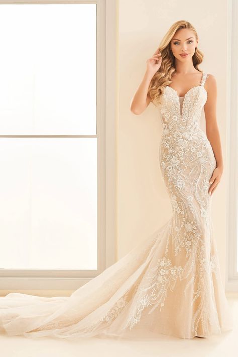 Enchanting by Mon Cheri - E524 | Enchanting by Mon Cheri Floral Applique Wedding Dress, Enchanting By Mon Cheri, Wedding Dress Colors, Future Wedding Dress, Mon Cheri Bridal, Bella Bridal, Ugly Cat, Fitted Gowns, Bridal Gallery