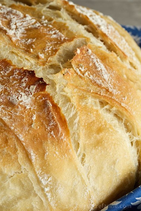 5 Minute Artisan Bread Tutorial. Sound too good to be true? It's not! You'll think your kitchen's been transformed to a European bake shop! Bread Tutorial, Crusty French Bread, Pane Dolce, A Loaf Of Bread, Biscuit Rolls, Loaf Of Bread, Yeast Bread, Easy Bread, Bread And Pastries