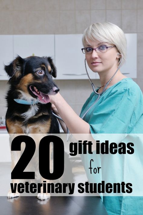 Trying to figure out what to get a vet student? Try one of these gift ideas for veterinary students for the next holiday. Veterinarian Medicine, Veterinarian School, Veterinary Humor, Veterinary Office, Veterinary Student, Vet Life, Birthday Present For Husband, Veterinary School, Veterinary Science