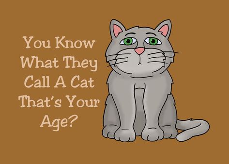 Humorous Getting Older Birthday Card With Cartoon Cat card Cat Birthday Funny, Cat Birthday Cards, Deck Of Card, Cat Birthday Cards Funny, Birthday Jokes, Old Birthday Cards, Happy 80th Birthday, Cat Birthday Card, Cat Cartoon