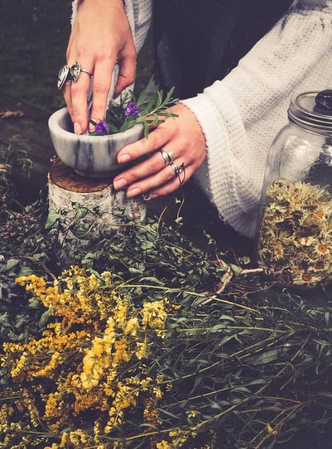 Apothecary Photoshoot, Slavic Names, Hogwarts Subjects, City Witch, Herbalist Shop, Blood Witch, Green Witchery, Soft Era, The Otherworld