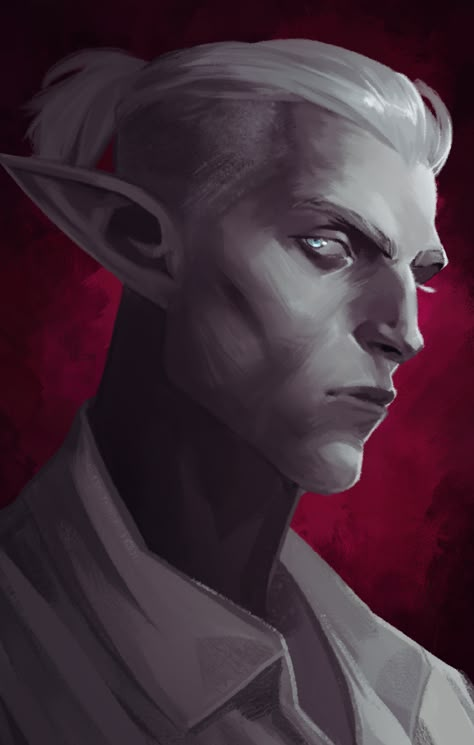 I rolled Roiben as a Pale Elf for my GUNMAGE Cipher playthrough. Pale Elf, Drow Male, Snow Elf, Dnd Npc, Dnd Elves, Male Elf, Pillars Of Eternity, Elves Fantasy, Elf Art