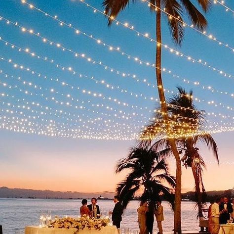 Martoca-Wedding Venue on Instagram: "Attention brides 👰 🚨 
9 Dec 2023, was a great example of a beautiful setting for Fireflies style lighting 😍 💡 We have several styles available. 
Email: martocapv@gmail.com for dates and info on private wedding Martoca beach garden in Bucerias,
Mexico 🇲🇽 
.
Follow #martocabeachgarden for almost weekly fresh wedding inspo! 
.
.
.
.

#martocaweddings #martoca #martocos #weddingvenuehunting #mexicowedding #buceriaswedding #puntamitawedding #wedding #weddinglighting #lightingdesign #lightinginspiration #weddinginspiration #destinationweddings #buceriasweddingvenue #seattleweddings #seattleweddingshow #sws #weddinglights #martoca #lamartoca #buceriasweddings" Bucerias Mexico, Beach Garden, Private Wedding, Wedding Plan, Celebration Quotes, Beach Gardens, Ceremony Ideas, Mexico Wedding, Seattle Wedding